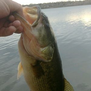 Meet your Posher, Jon